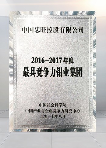 涓浗绀句細绉戝闄⑩€2016-2017骞村害鏈€鍏风珵浜夊姏閾濅笟闆嗗洟鈥